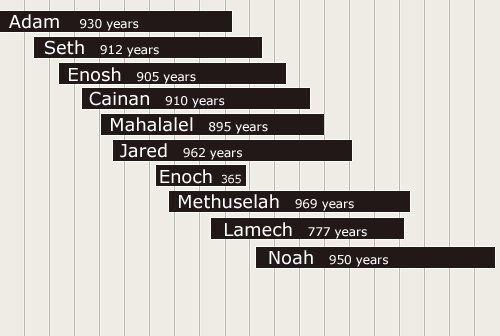 Noah Family Tree Chart